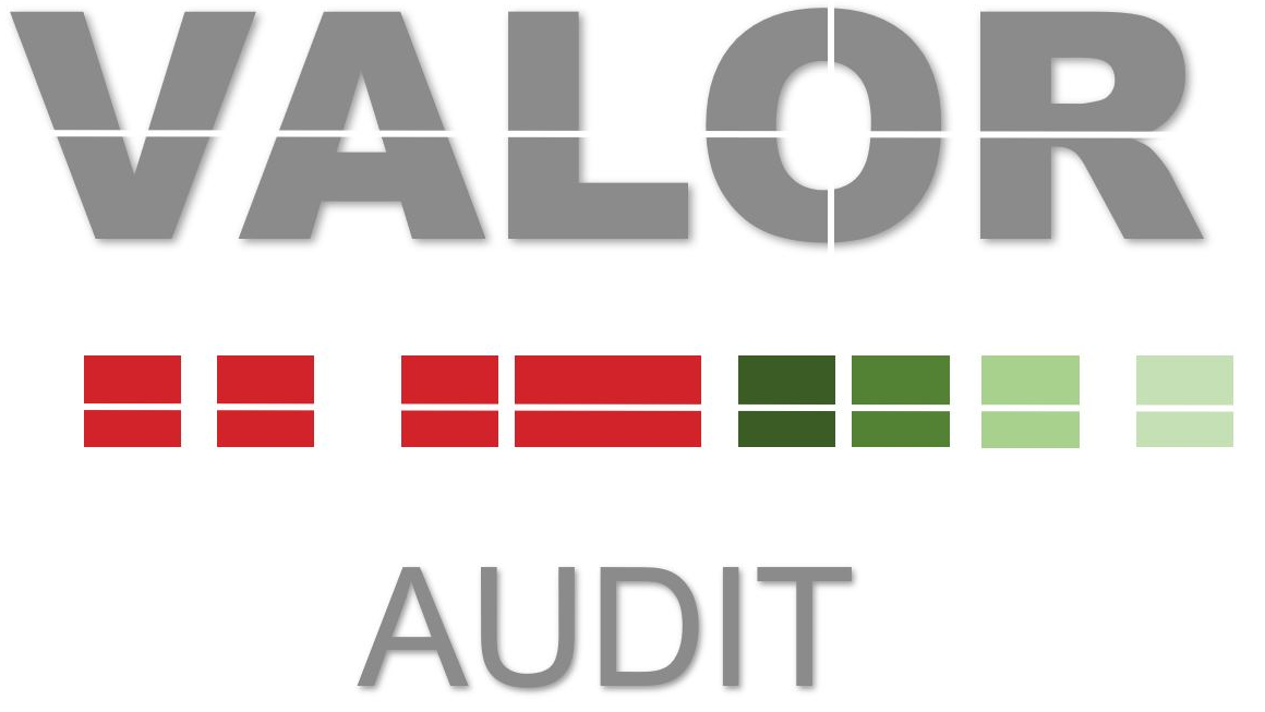 Valor Management – uw onafhankelijke IT adviseur en IT auditor